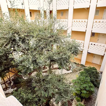 T3 Avec Vue Imprenable Dans Avec Piscine Daire Six-Fours-les-Plages